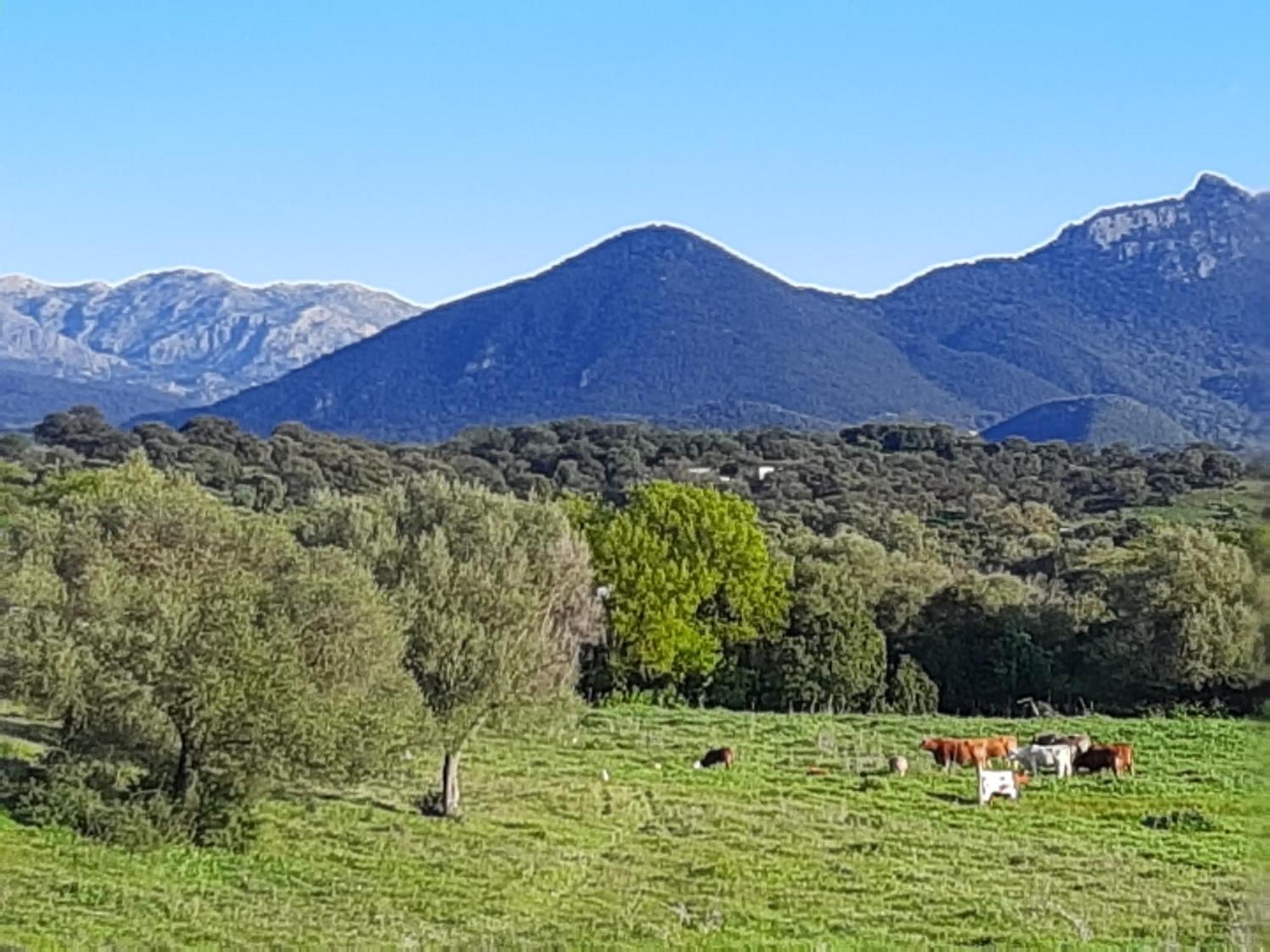 Willa Preciosa Casa De Madera, Andalucia Prado Del Rey Zewnętrze zdjęcie
